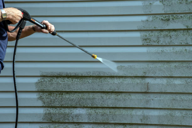 Best Fence Cleaning  in Alexandria Bay, NY
